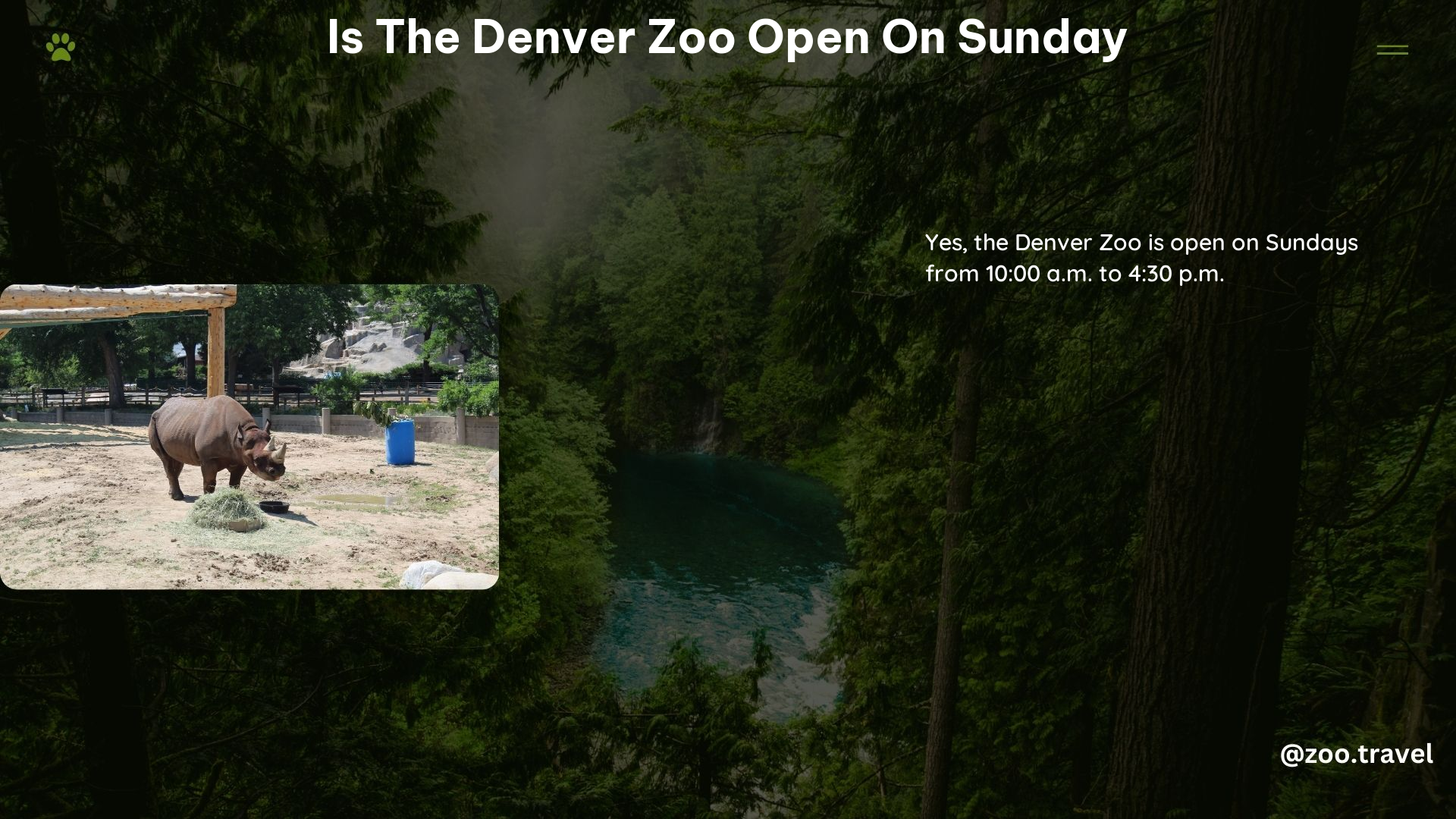 Is the Denver Zoo Open on Sunday