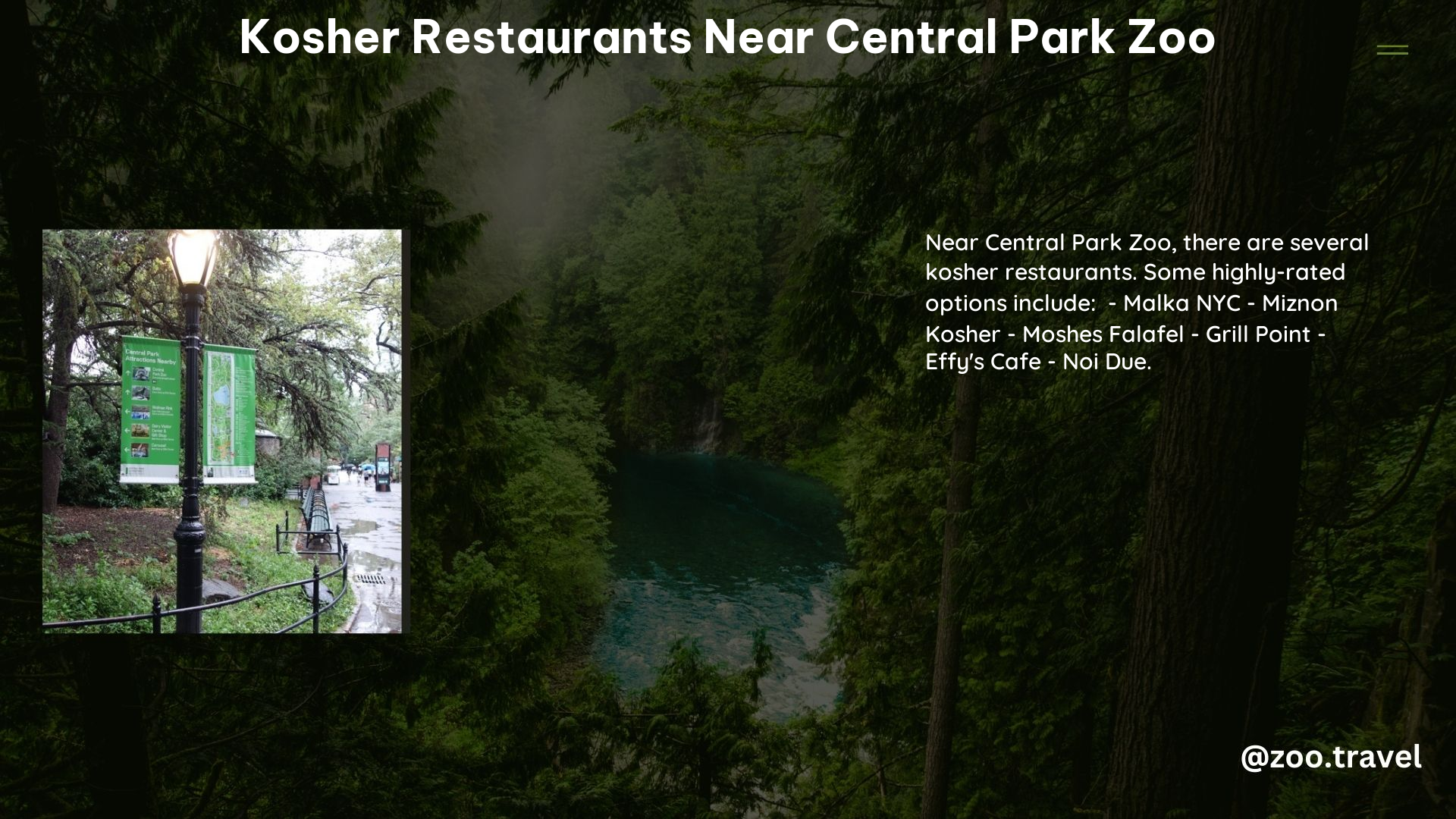 Kosher Restaurants Near Central Park Zoo