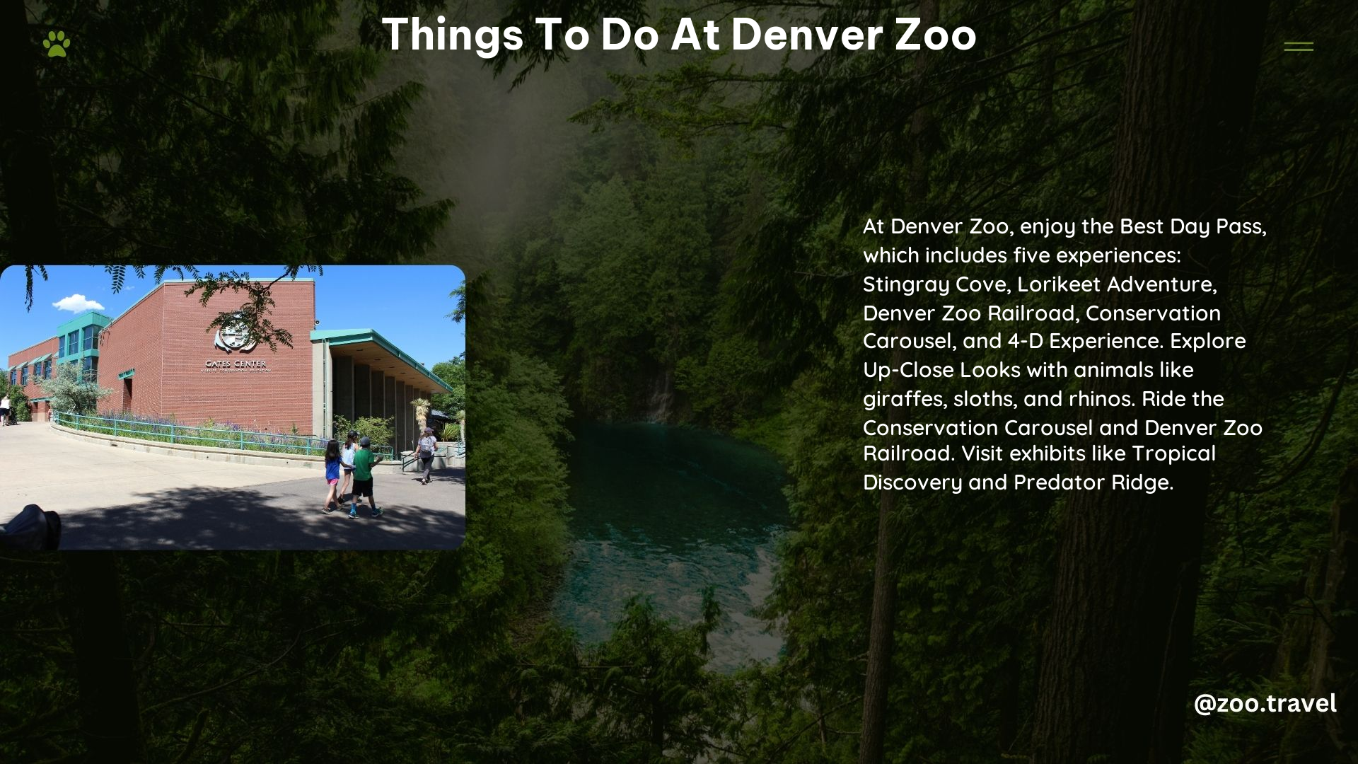 Things to Do at Denver Zoo