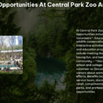 Volunteer Opportunities at Central Park Zoo and Benefits