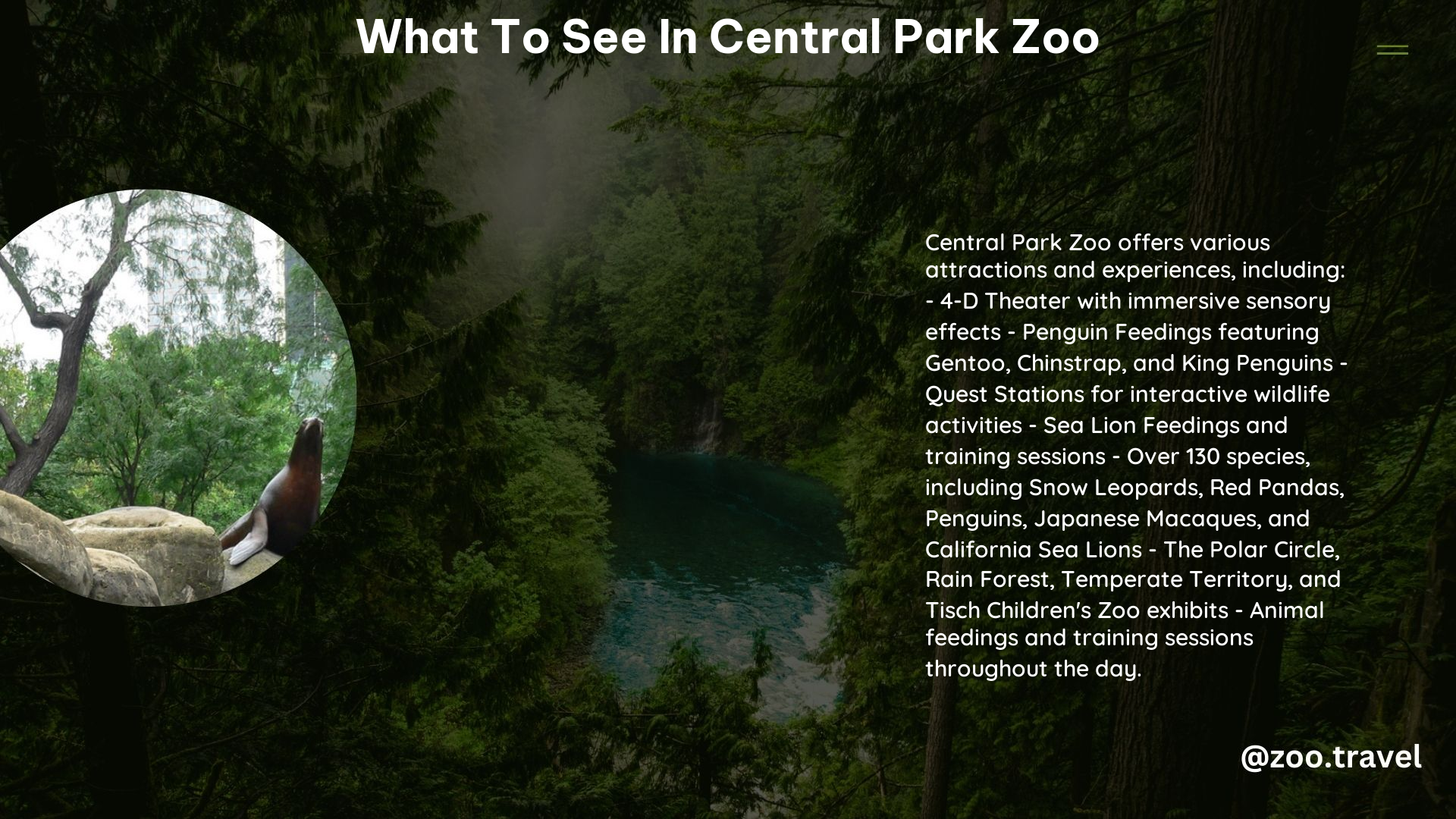 What to See in Central Park Zoo