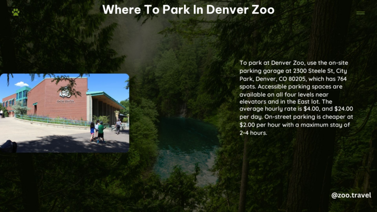 Where to Park in Denver Zoo