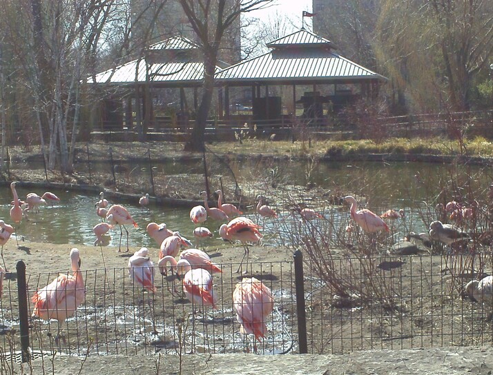 lincoln park zoo red barn