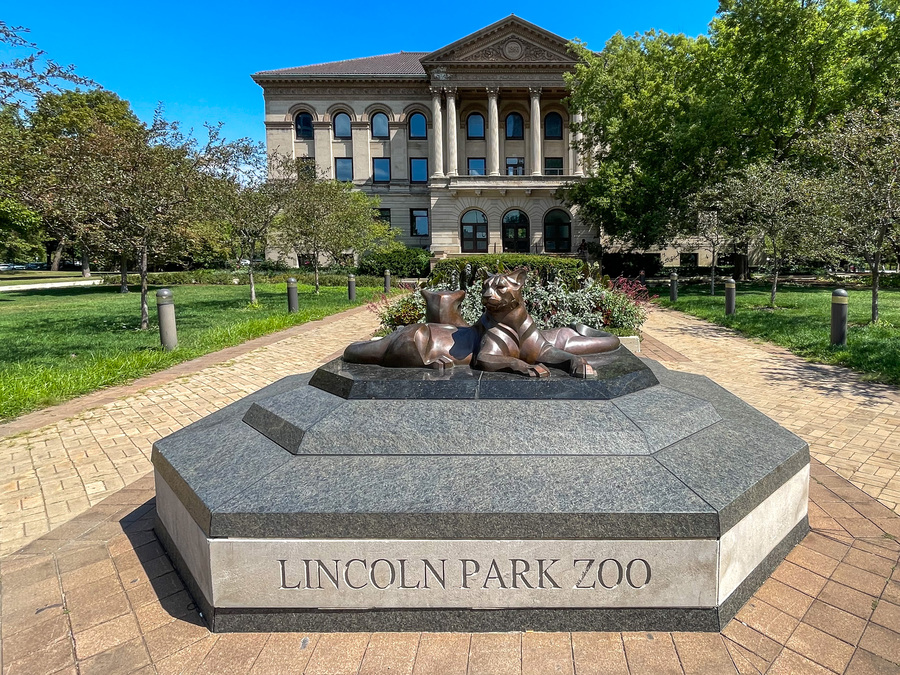 lincoln park zoo bus stop