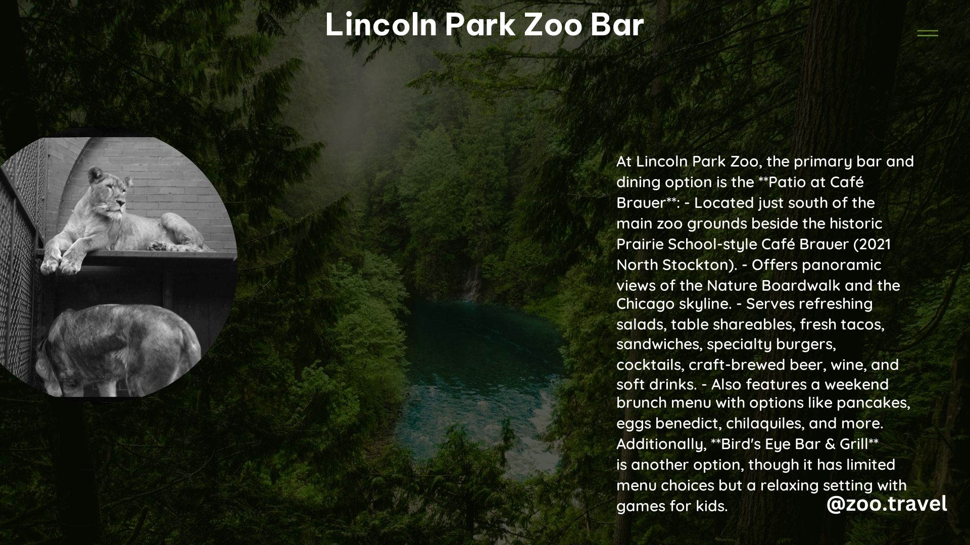 lincoln park zoo bar