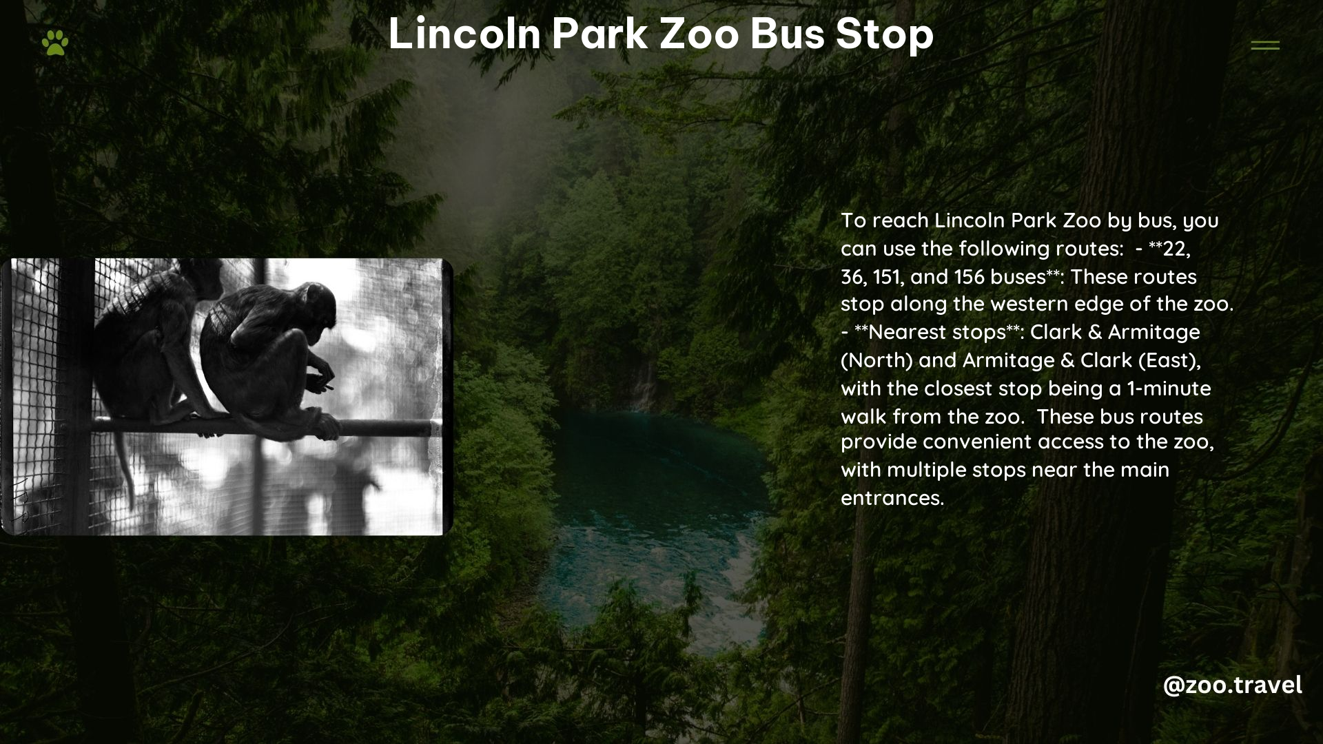 lincoln park zoo bus stop