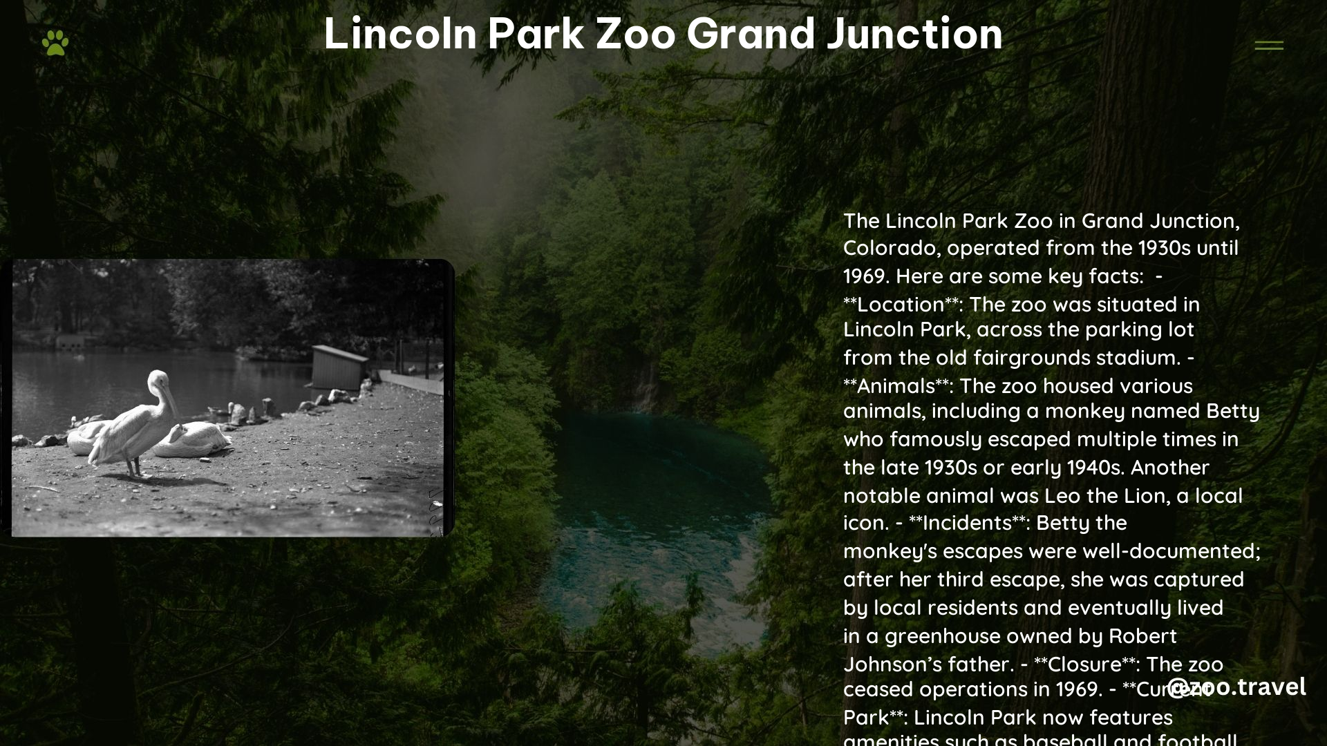 lincoln park zoo grand junction