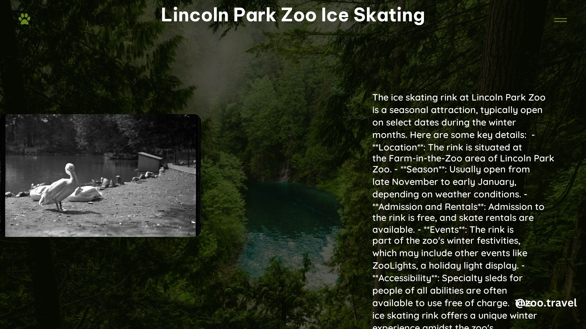 lincoln park zoo ice skating