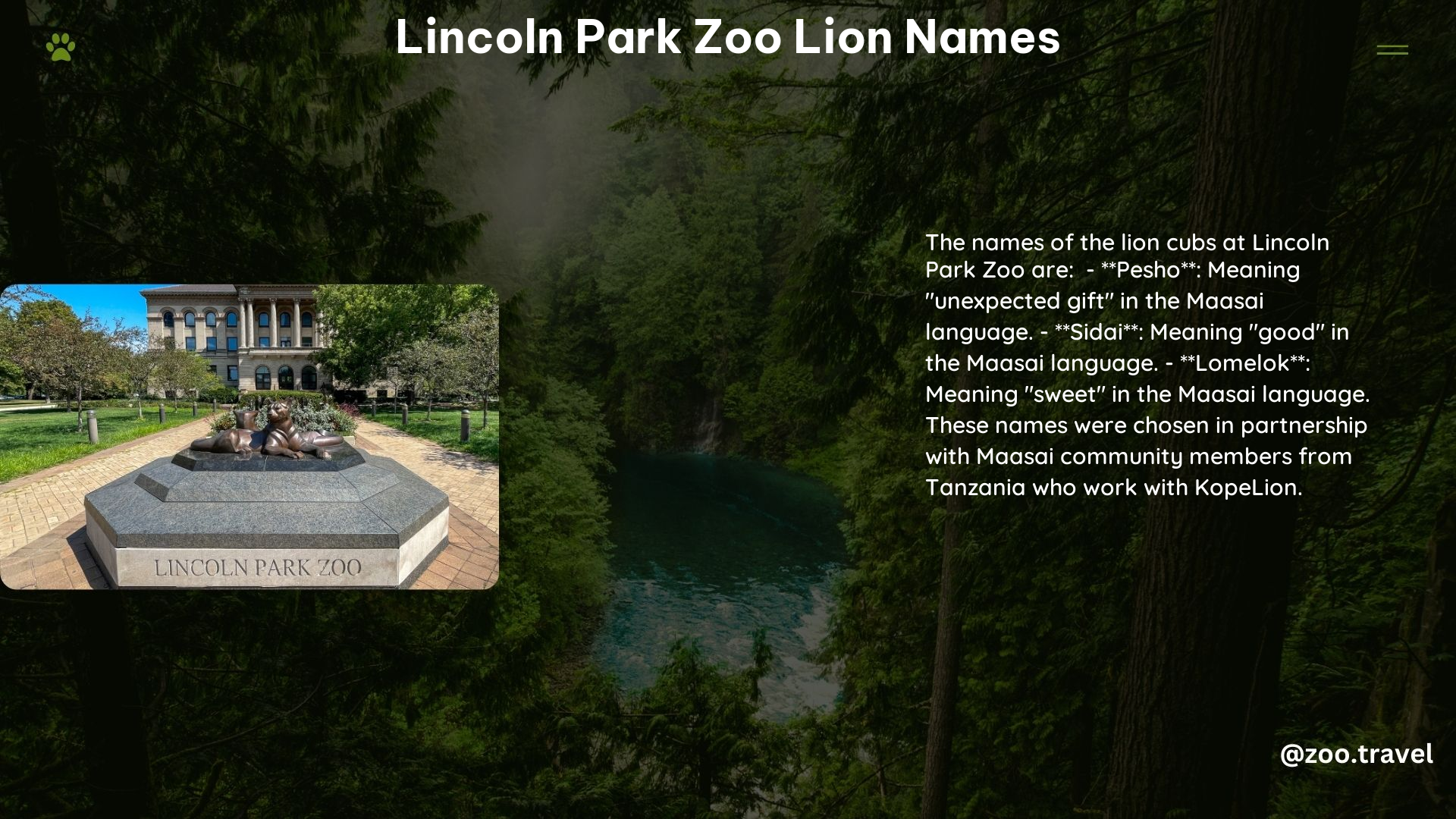 lincoln park zoo lion names