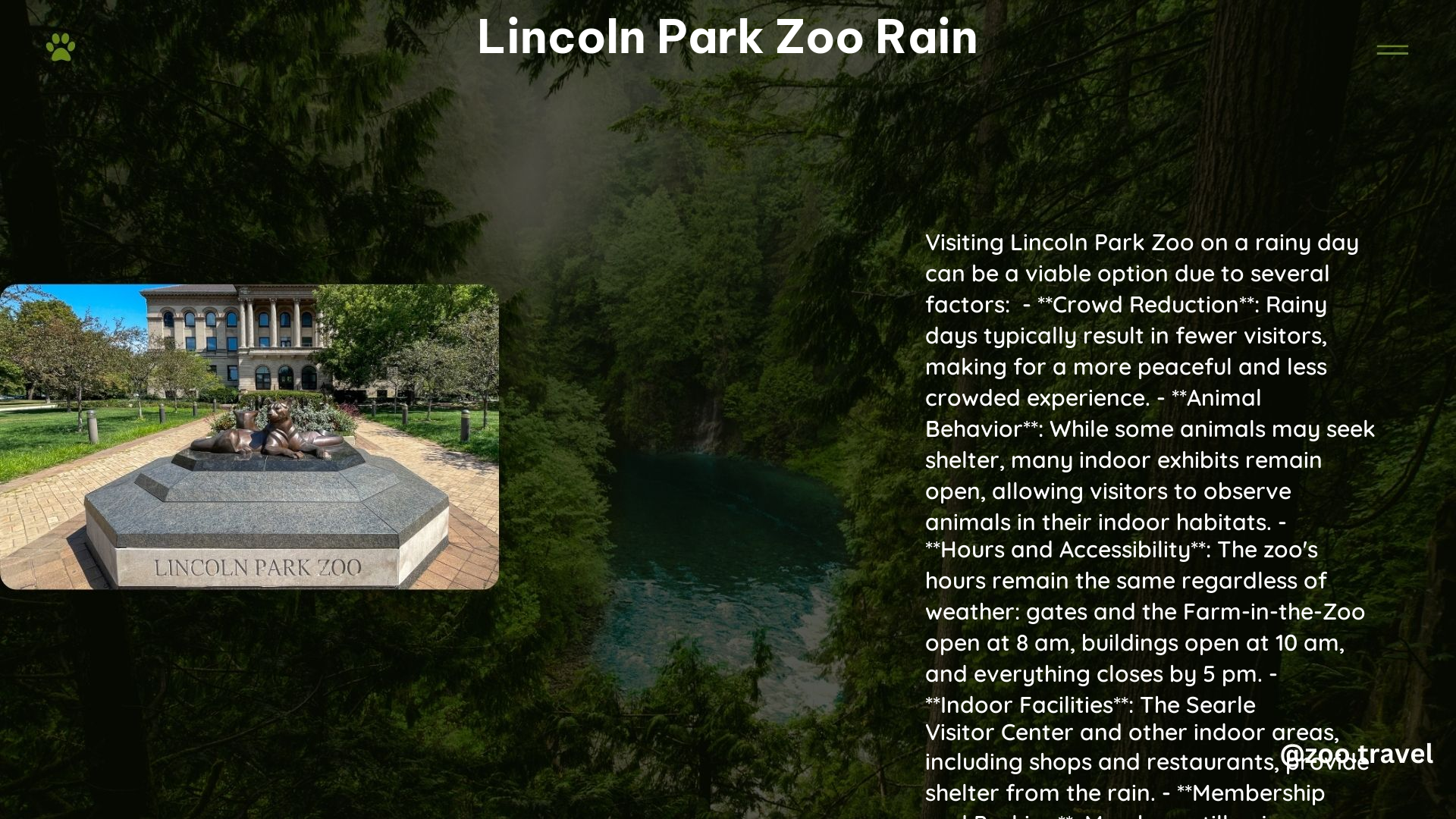 lincoln park zoo rain