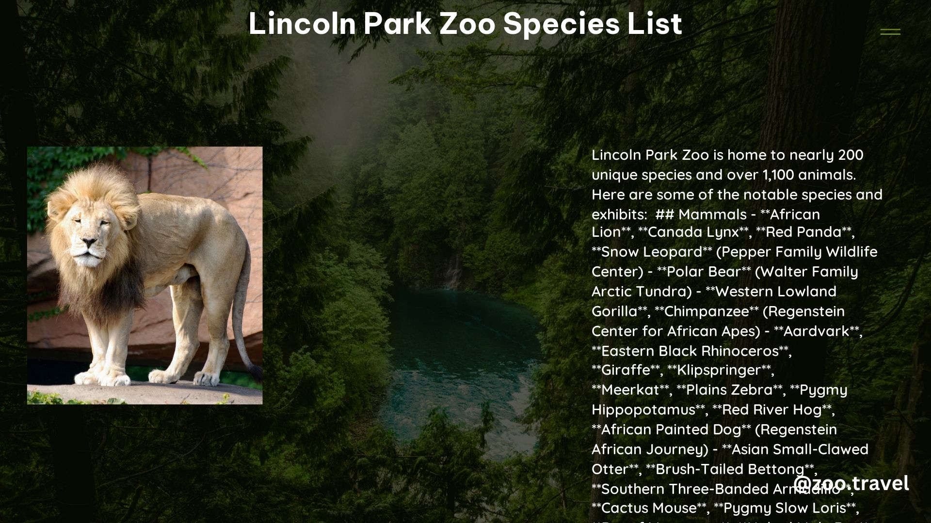 lincoln park zoo species list