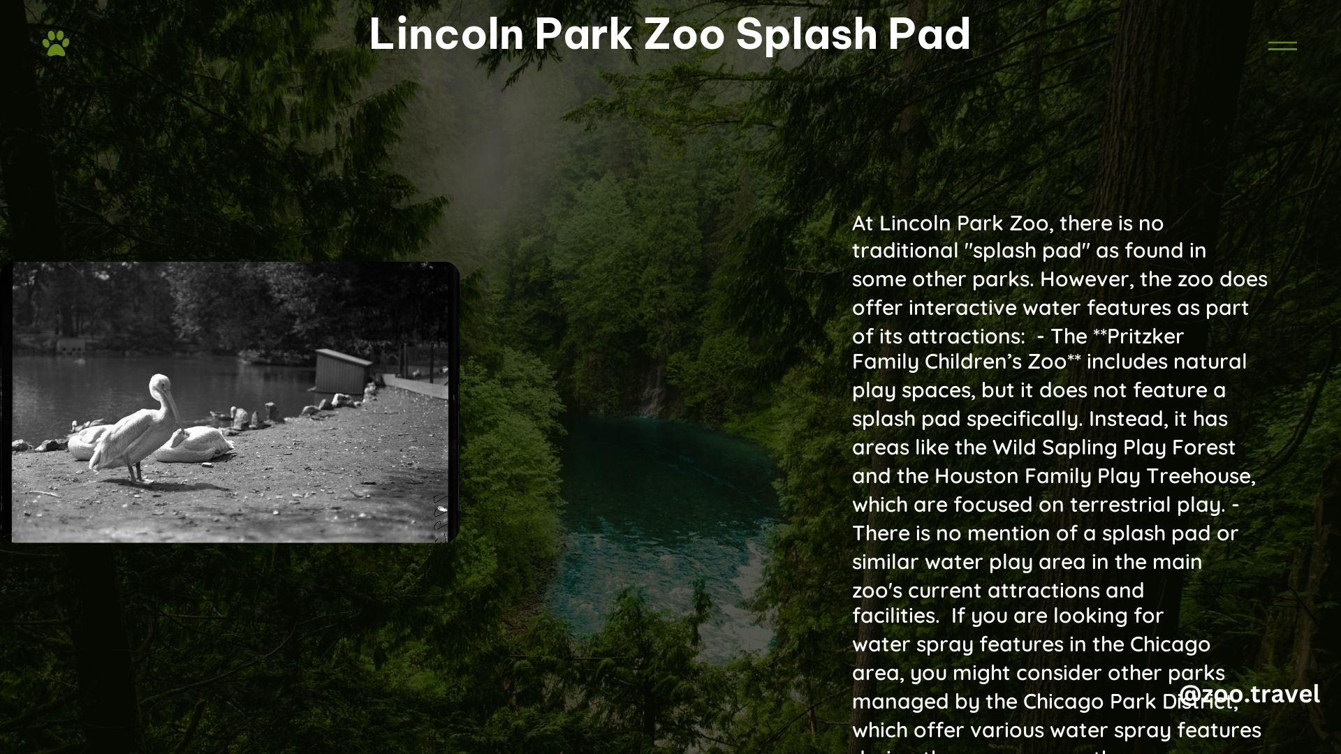 lincoln park zoo splash pad