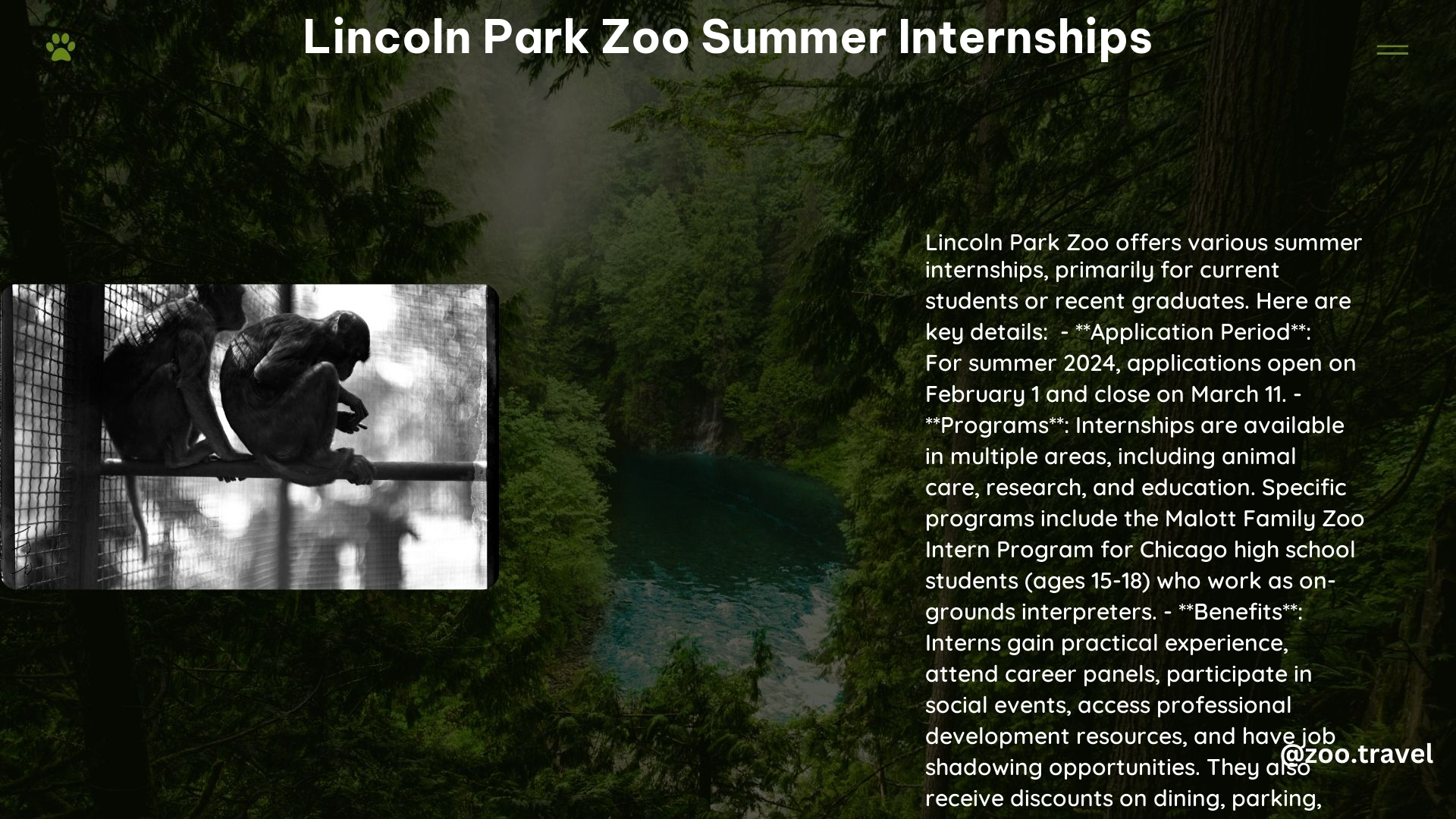 lincoln park zoo summer internships