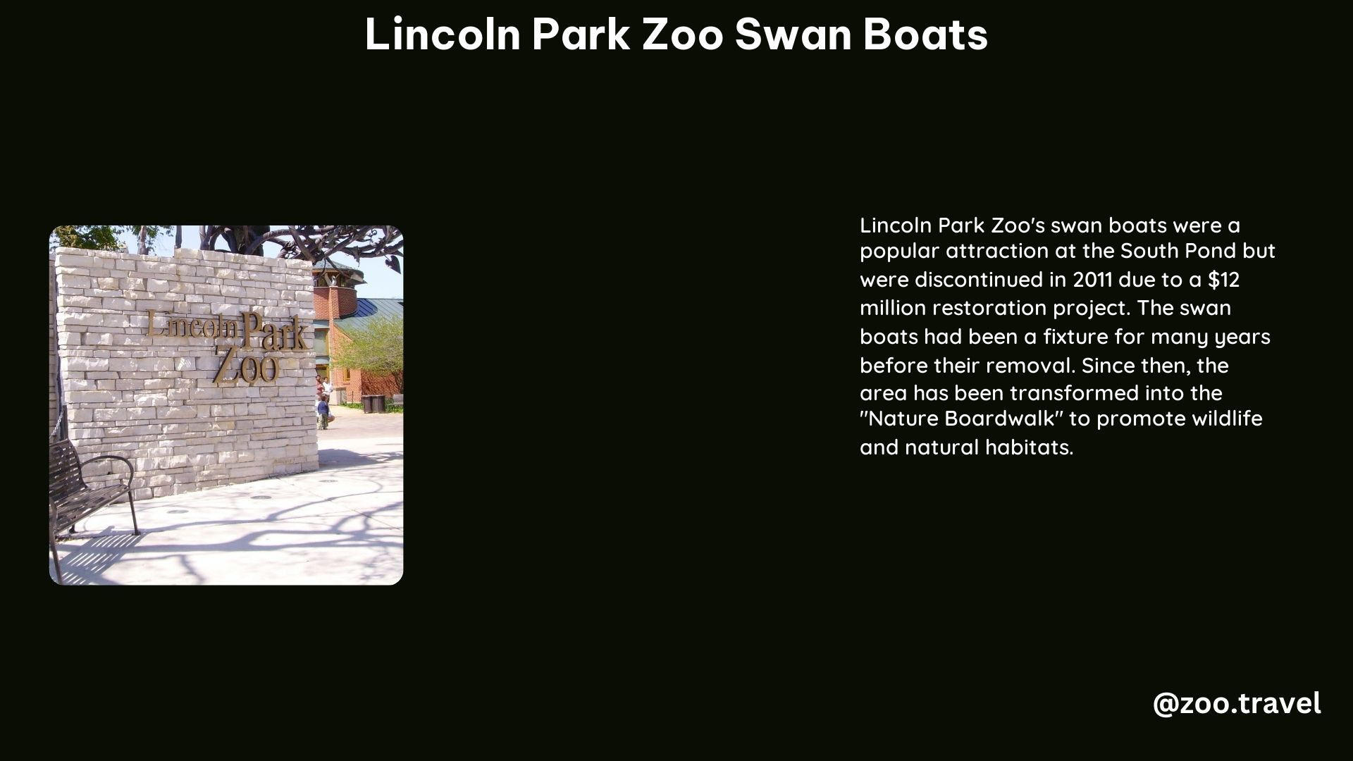 lincoln park zoo swan boats