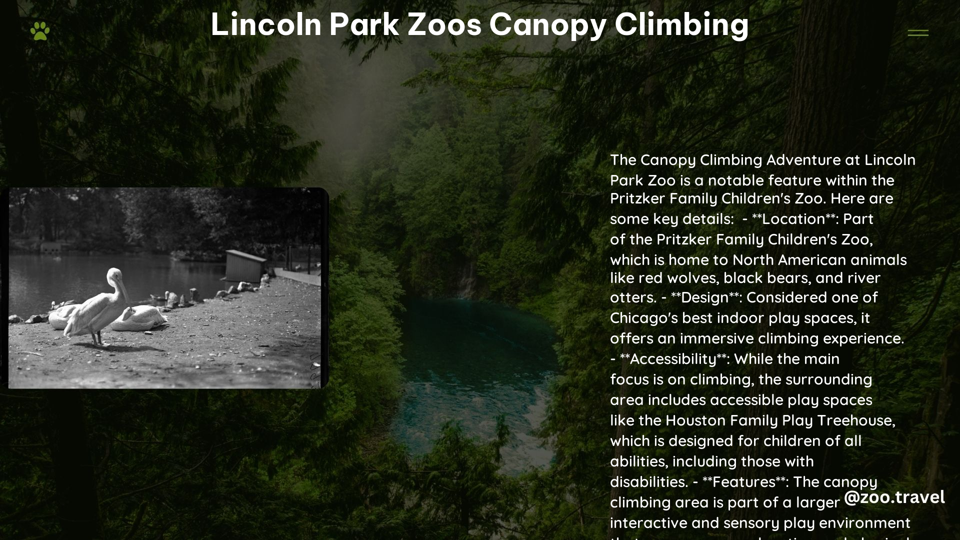 lincoln park zoos canopy climbing