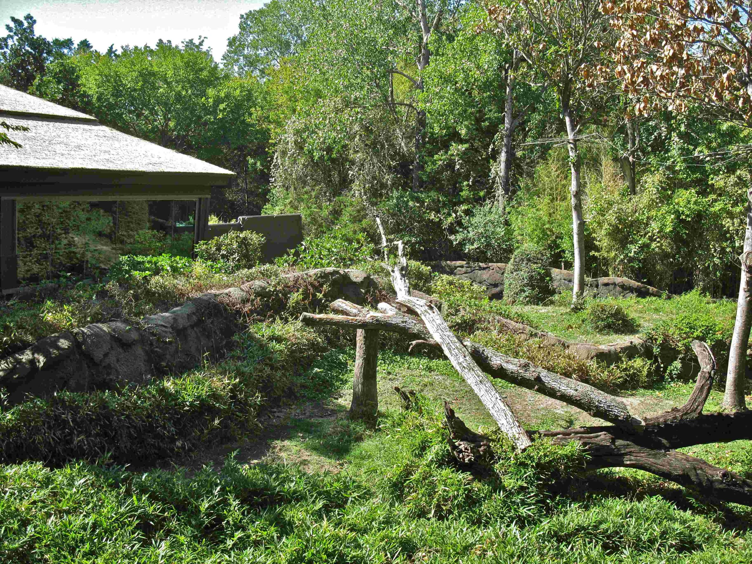 dallas zoo zoofari food court