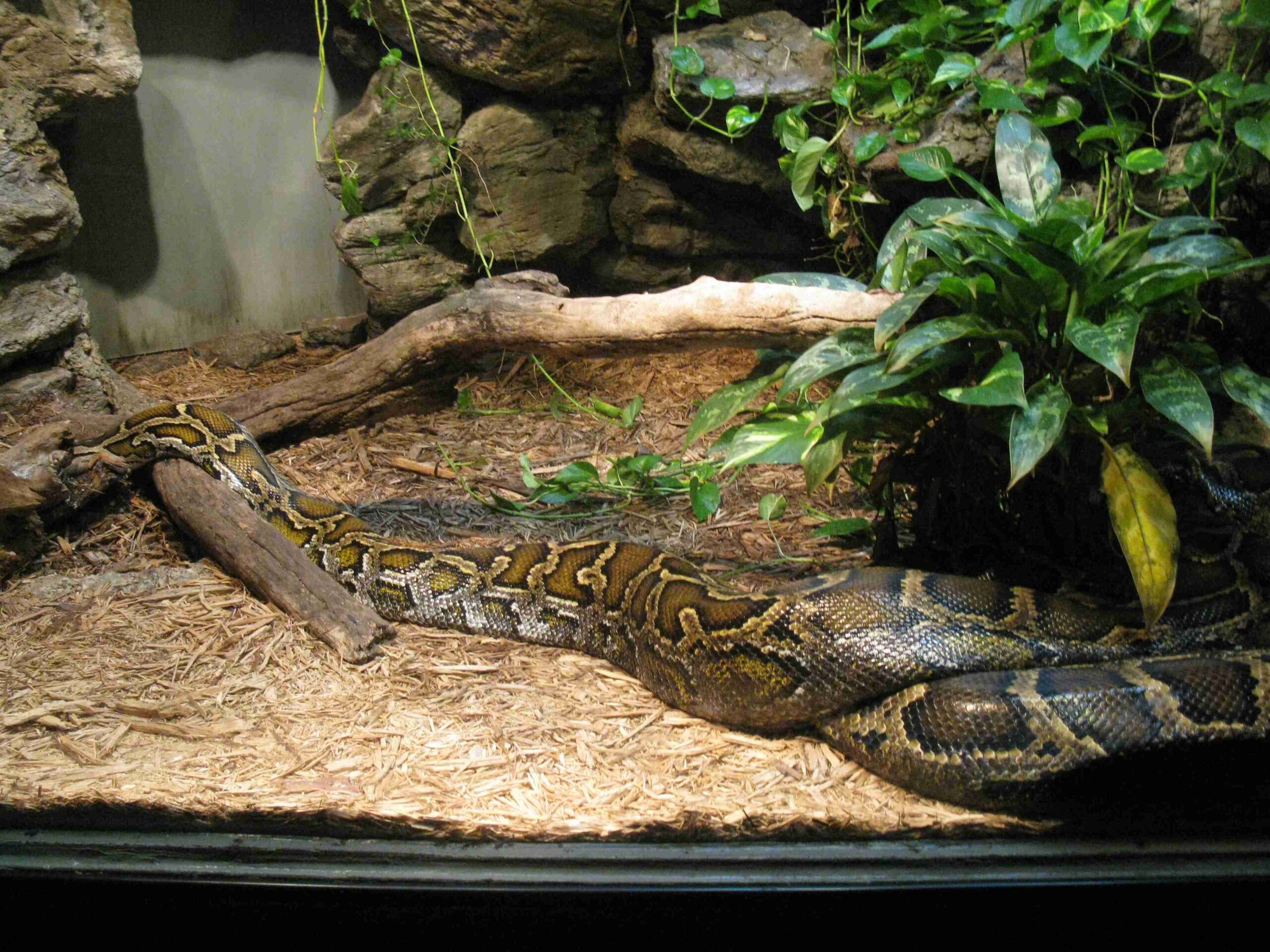 dallas zoo nursing room