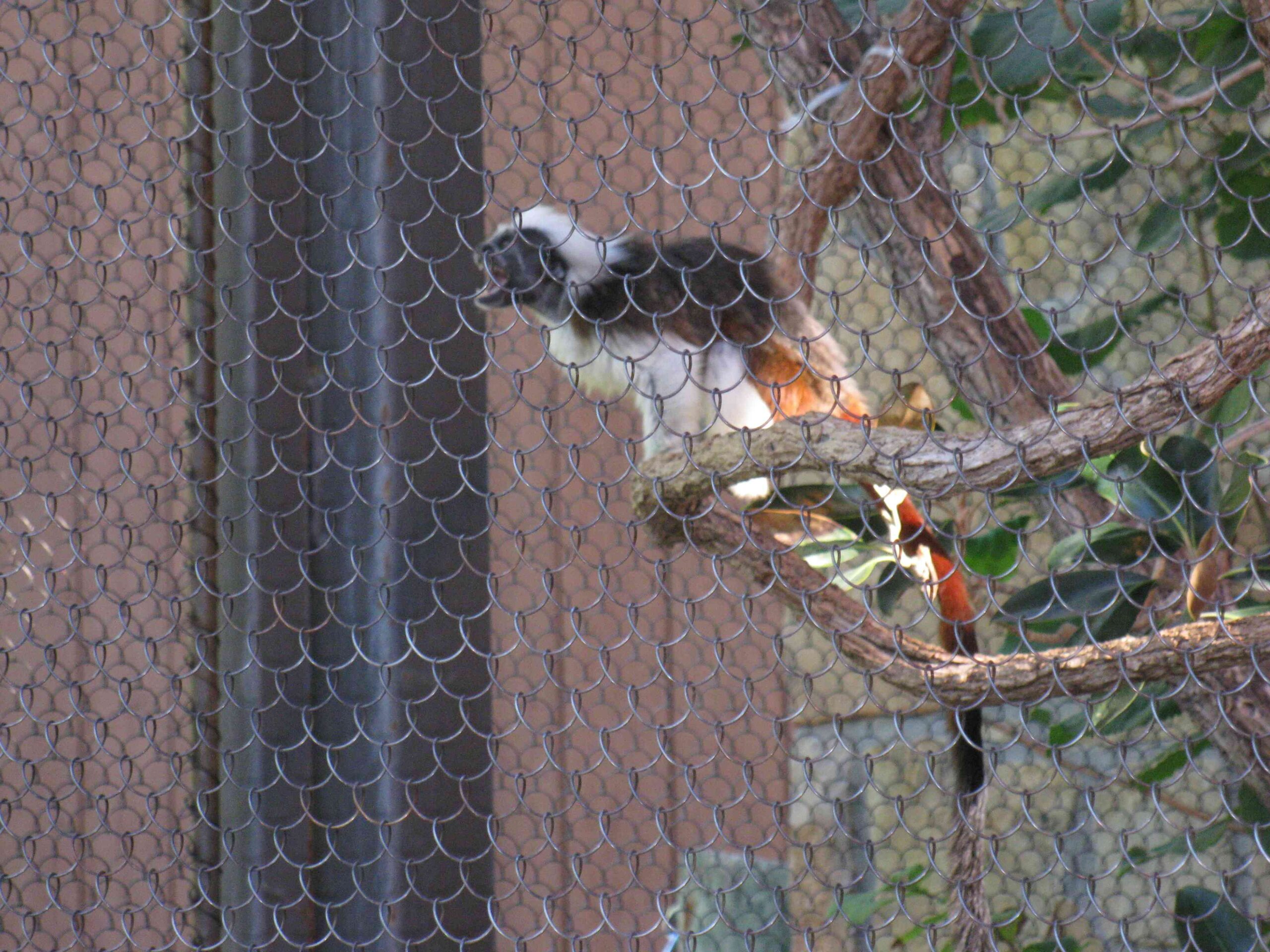 nursery at the dallas zoo