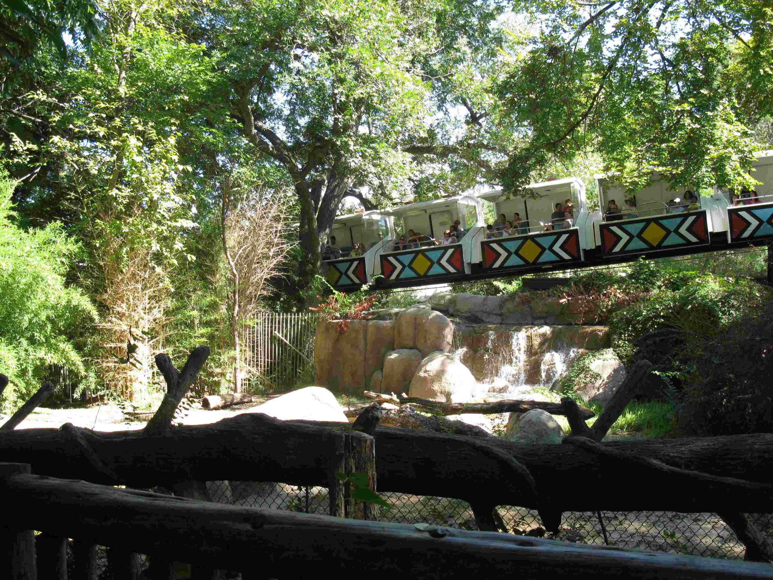 dallas zoo feed the elephants