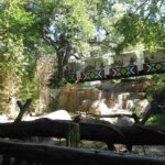 Dallas Zoo 24 7