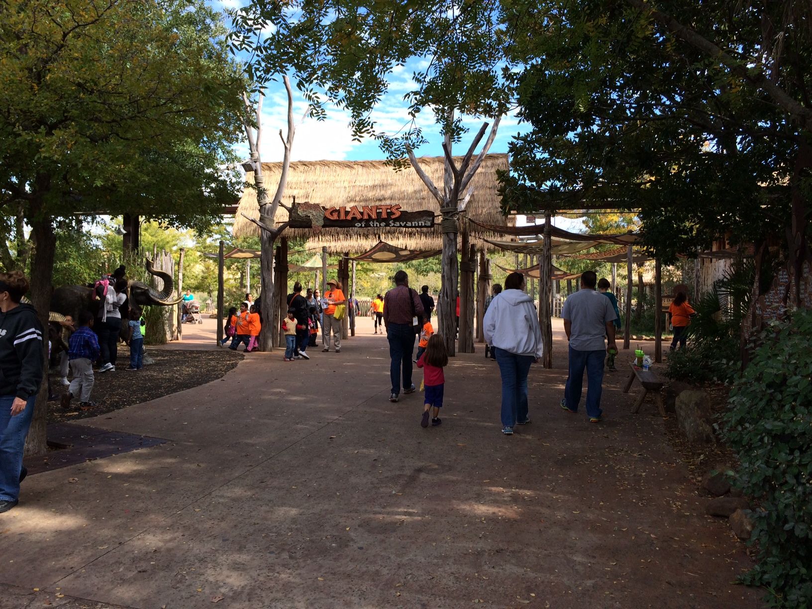 dallas zoo giraffe feeding hours