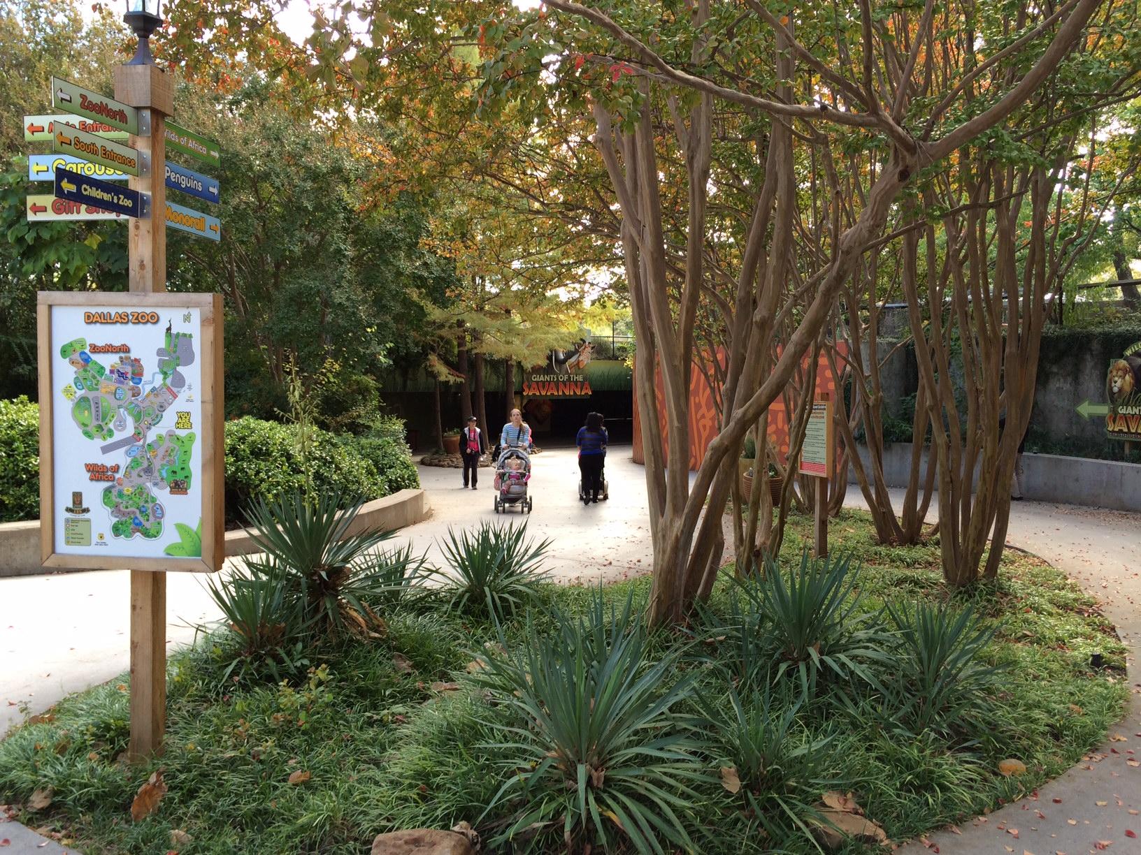 dallas zoo butterfly exhibit