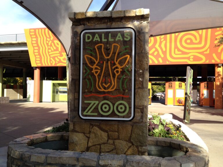 Dallas Zoo 8 3